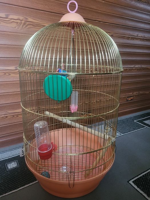 Клетка для попугая