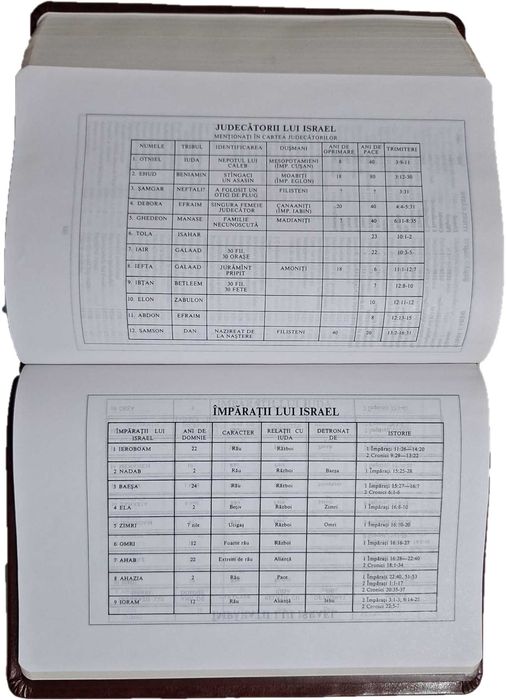 Biblia Planului Profetic Ediția a II - a (Dumitru Cornilescu)