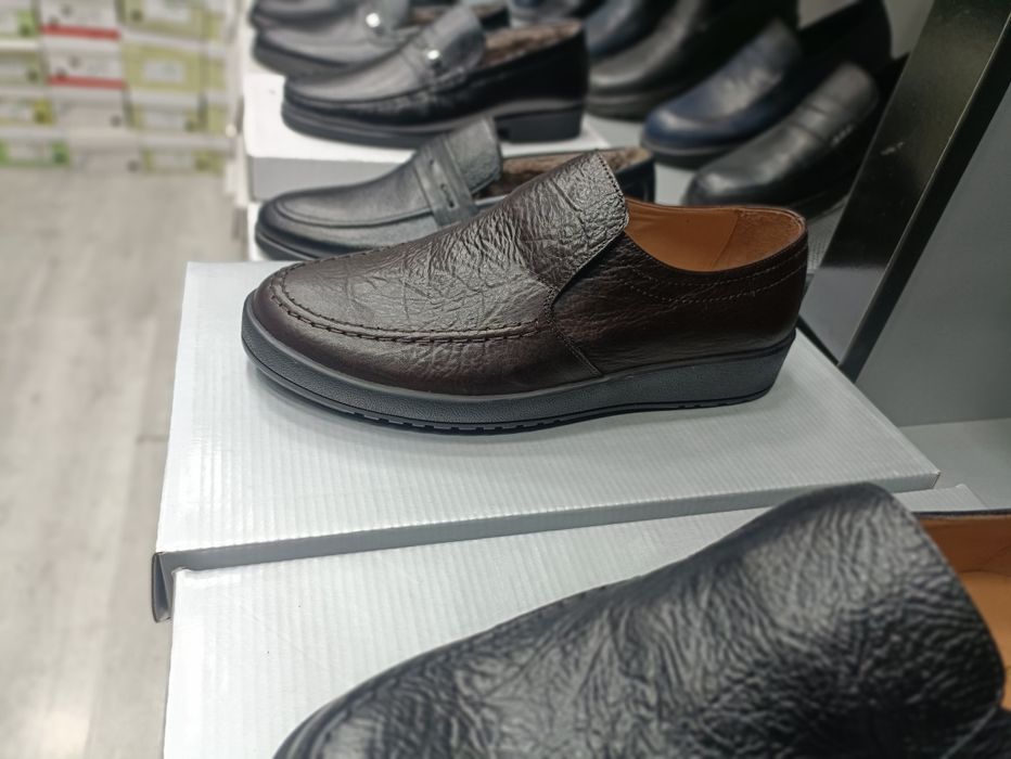 Саламандер качество проверено