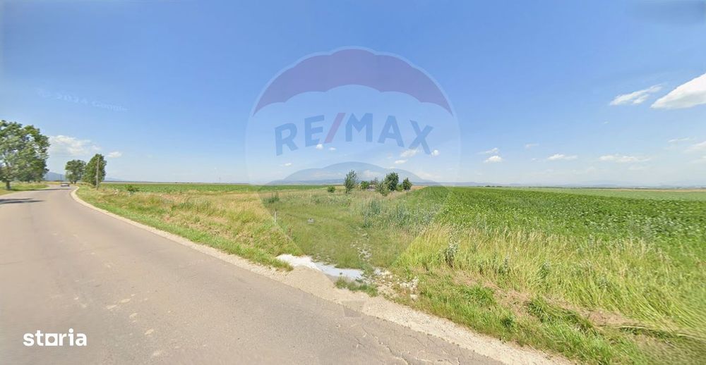 Teren extravilan 2 parcele de 9.750 mp - Satul Nou, comuna Hălchiu