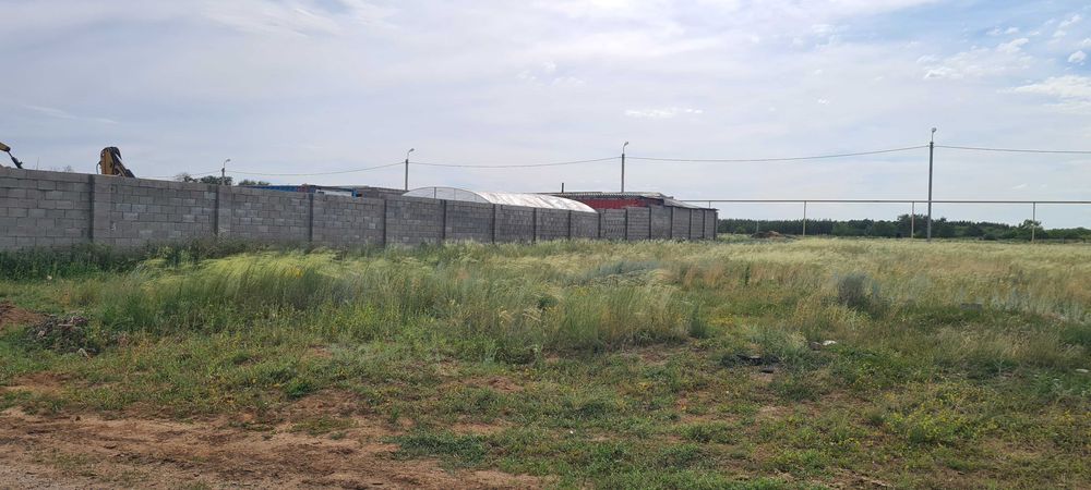 Продам участок в лесу в Астане