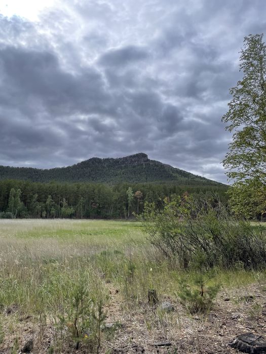 Дом в Боровом посуточно
