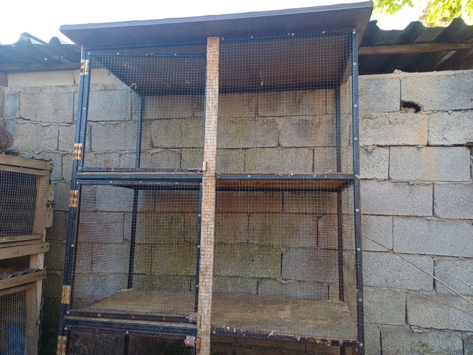 Клетки не дорого