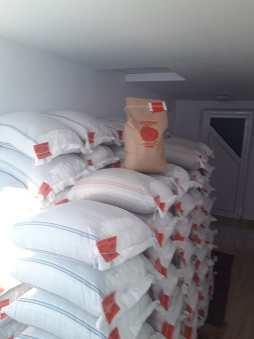 Sămânță Lucerna Certificata,Trifoi, Bromus, Sorg, Sudan, Iarba