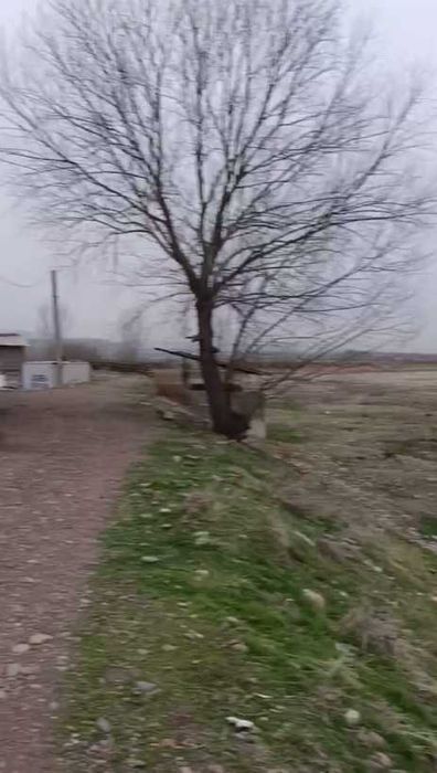 Продаётся Земля 8,8 га Пскент  железнодорожной веткой под производство