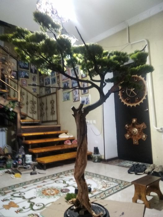 Бонсай ручная работа