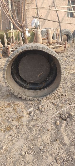 Mollar uchun novo sotiladi