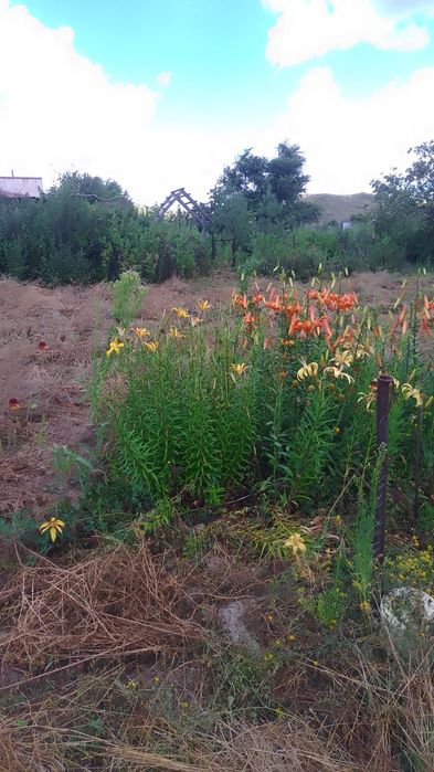 Продается дача 9 соток уланский район