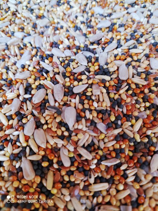 Корма для попугаев