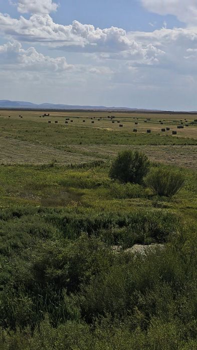 Продаётся Фазенда КХ