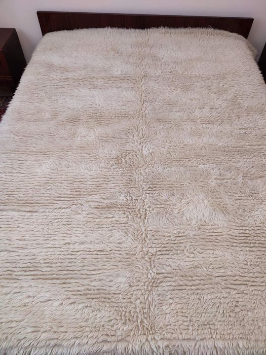 Китеници различни