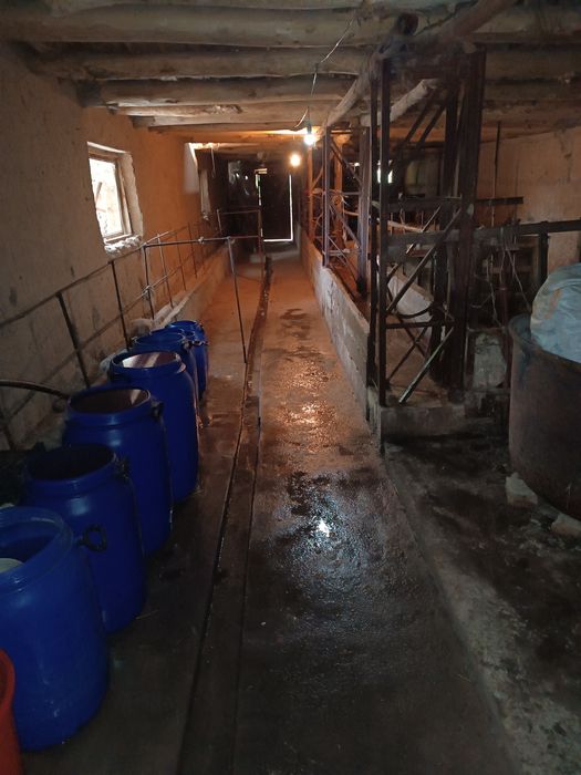 Srochna Qibray Krupiski mahallada 10 dorixona hovli sotiladi