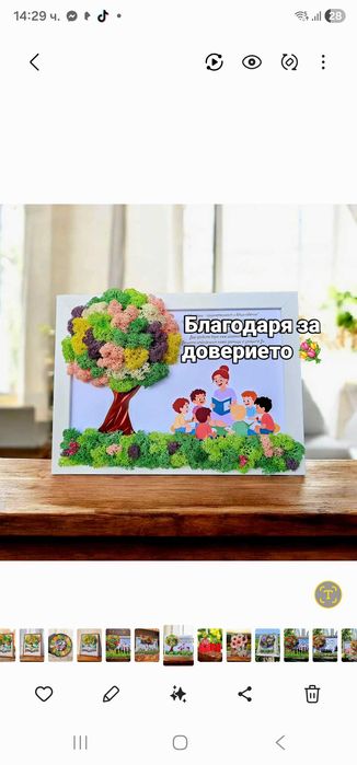 Комплекти за Дипломиране, Пана за учители