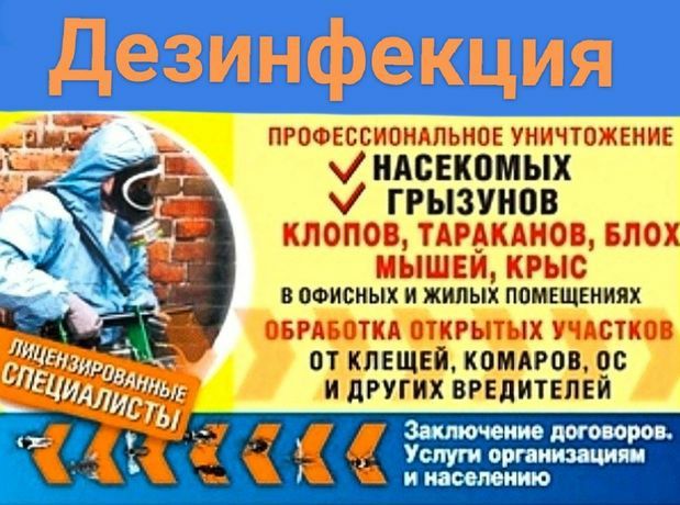 Дезинфекция от клопов, тараканов и других вредителей (без запаха)