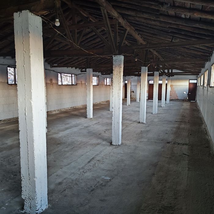 Давам Под наем 2 Халета с 5 дка. Двор + 2 рибарника