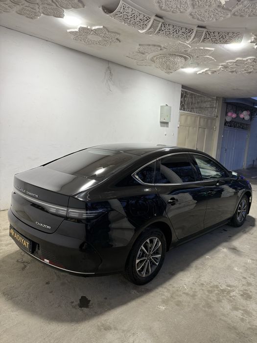 BYD Chazor 2024 yil