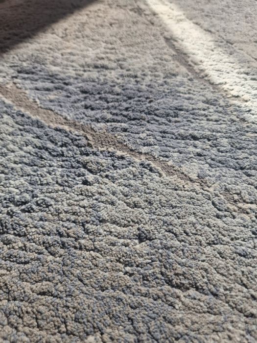 Vand covor de cameră