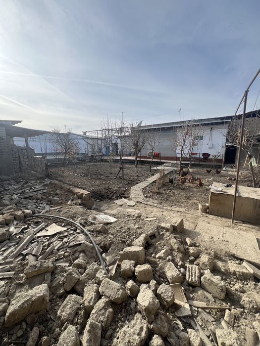 Hovli shahar urtasida 7 sutik