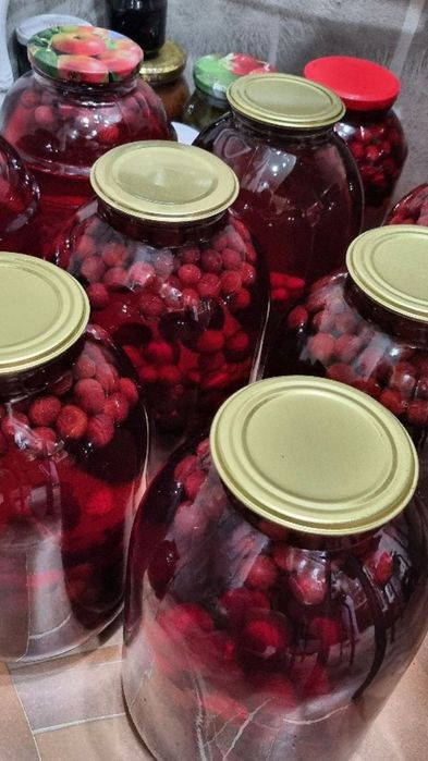 Домашняя консервация