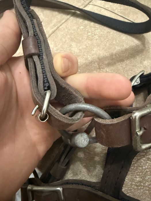 Продам Жуген для лошади