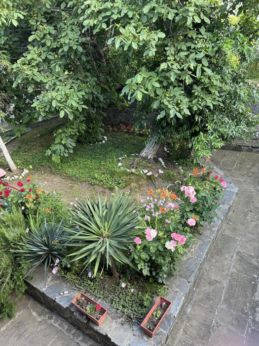 Къща за гости вила