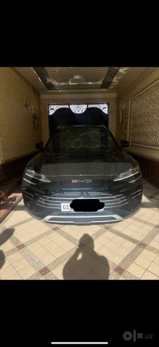 Byd chempion gibrit