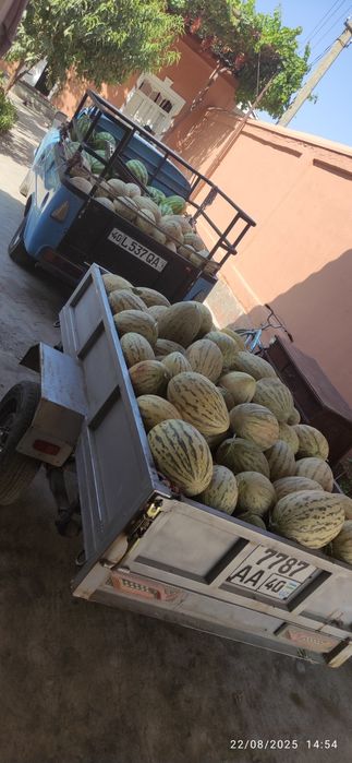 Ishlab turgan moshina xamma joyi zavod