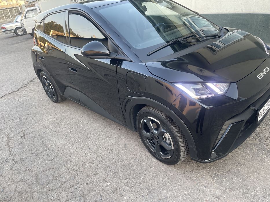 Биваеди Сигл 2023. Ел холати зўр