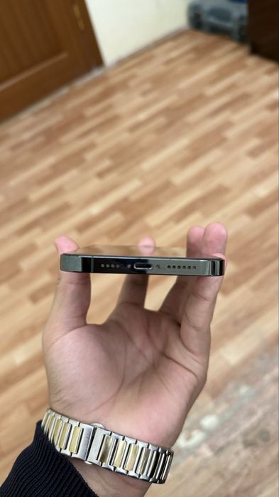 iPhone 13 Pro Max Green