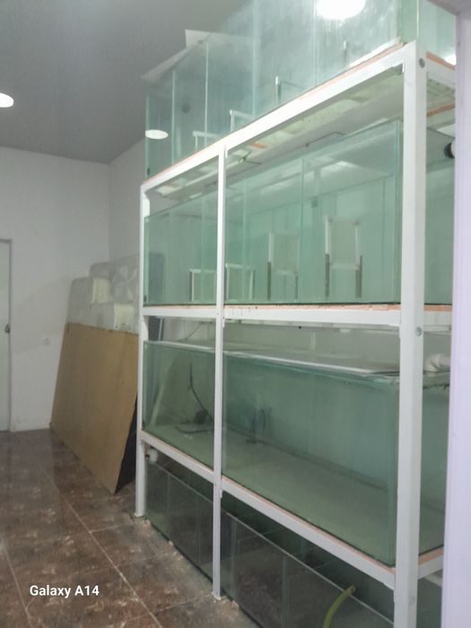 Срочно!!! Продаётся  Большой Аквариум!!!