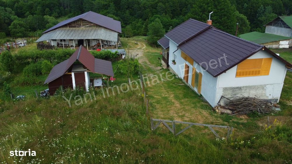 Fermă de animale + teren de vânzare în comuna Bughea de Jos, Argeș.