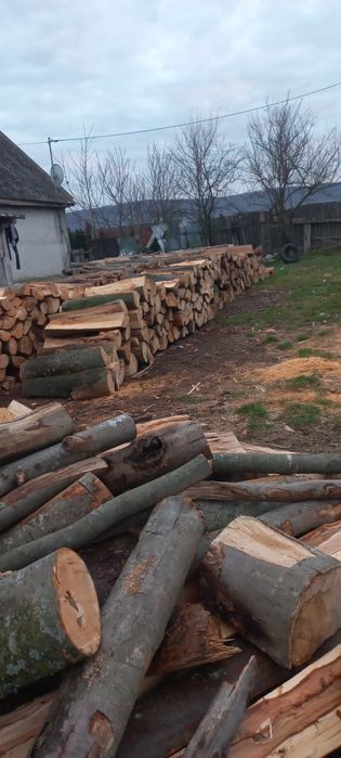 Vând lemn de foc  uscat și verde