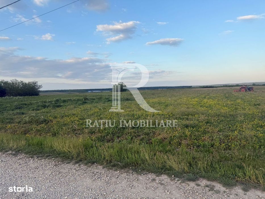 Teren extravilan | Păușa | Bihor