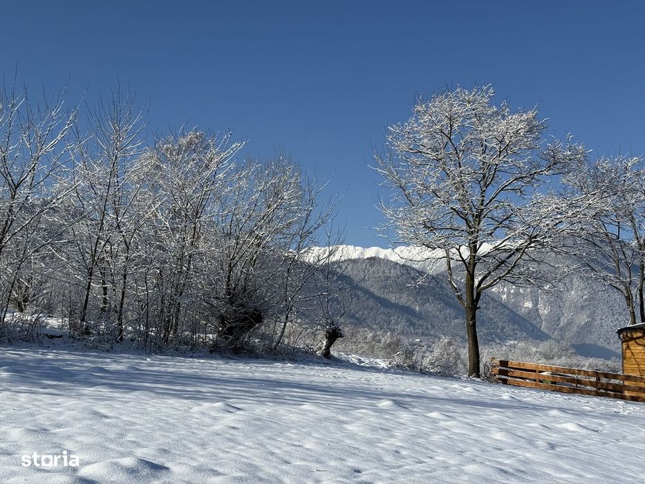 Teren la munte intravilan la 5 km de Moeciu si 20 km de Fundata