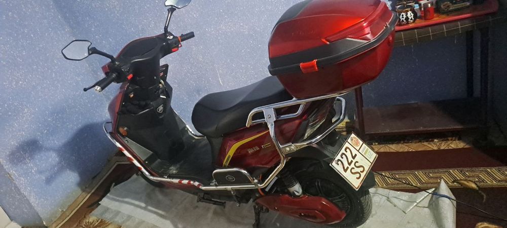 Elektra skuter kattasidan