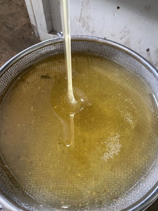 Продам мед с собственной пасеки!