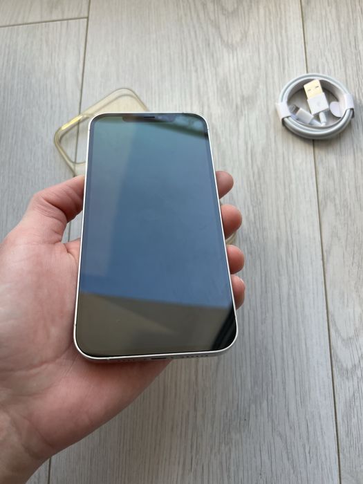 • Iphone 12 Pro Max  • silver •