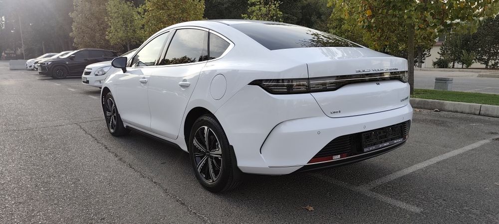 BYD Chazor flagship 120 full Позиция.