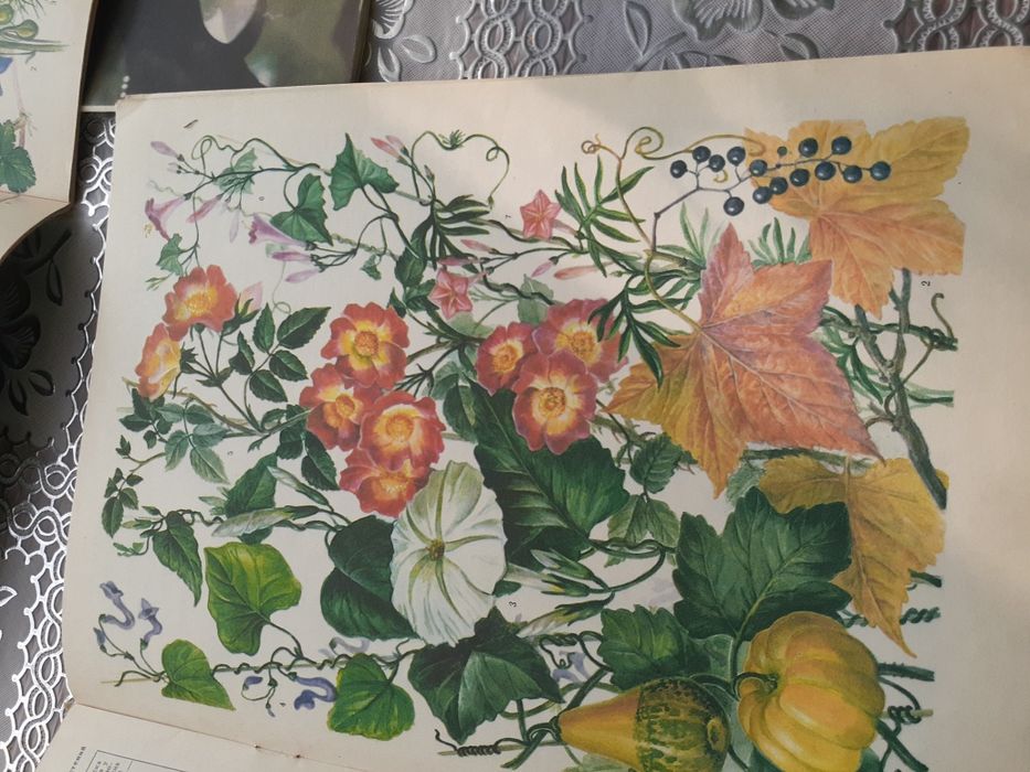 Журнал цветоводство