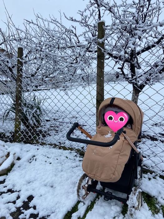 Fado Cooper COLETTO 2в1