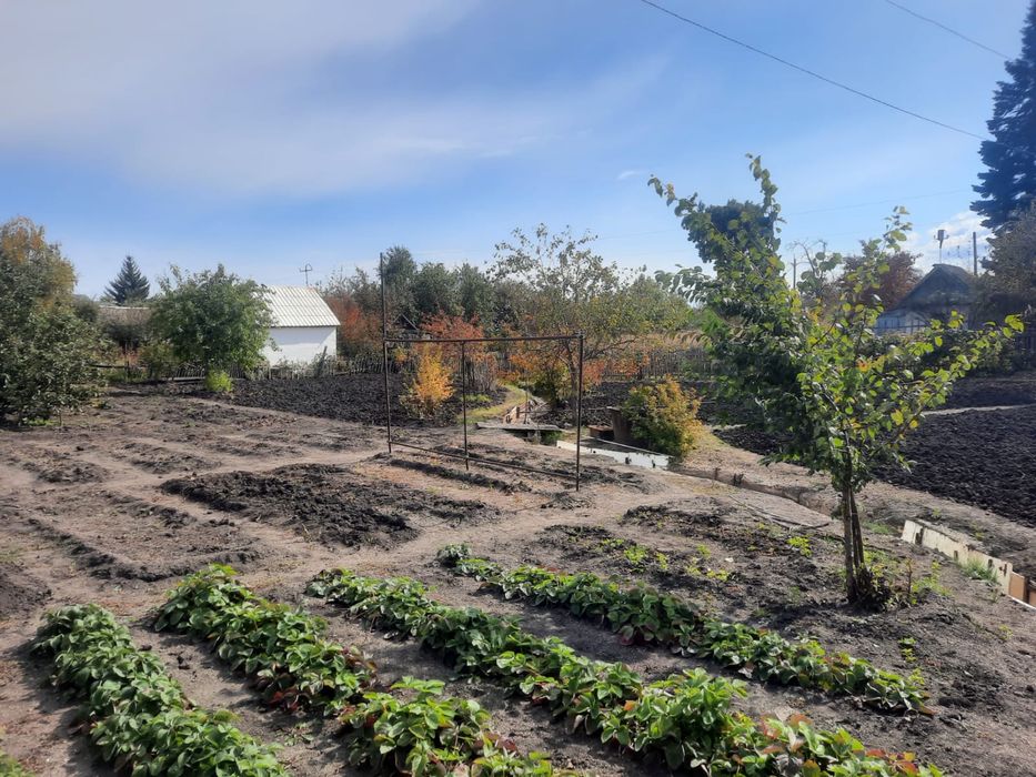 Продается дача в п. Новая Бухтарма