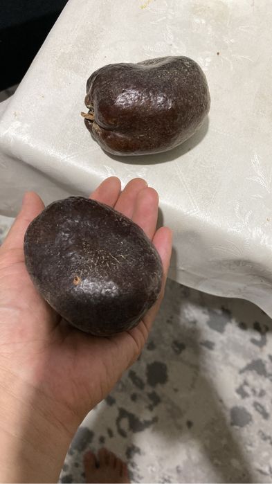 Мохилхин. Орех от бесплодия. Крупные. Свежие