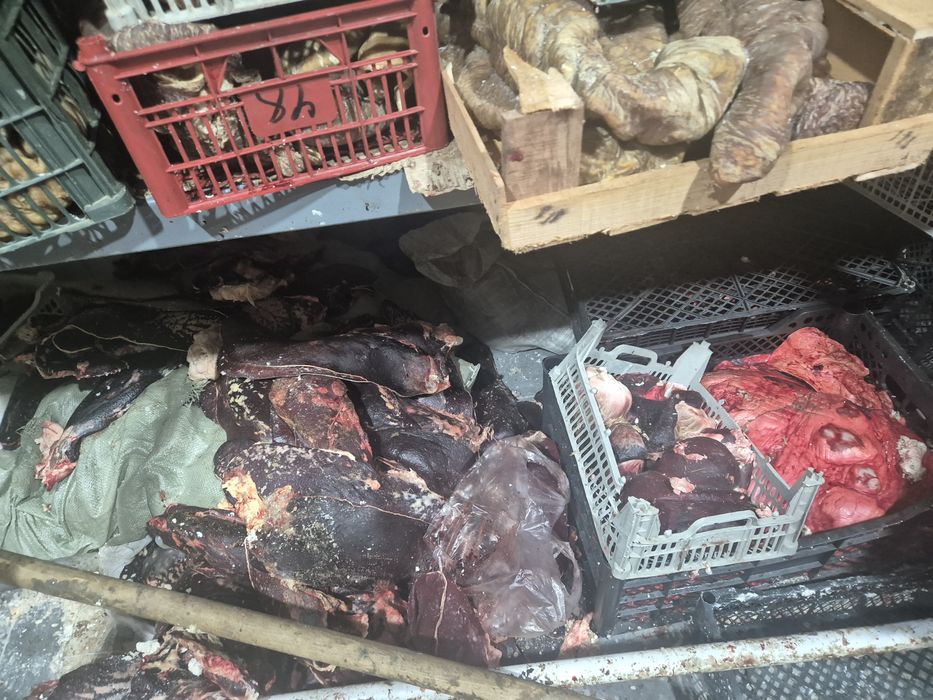 Итке отход свежый күнде