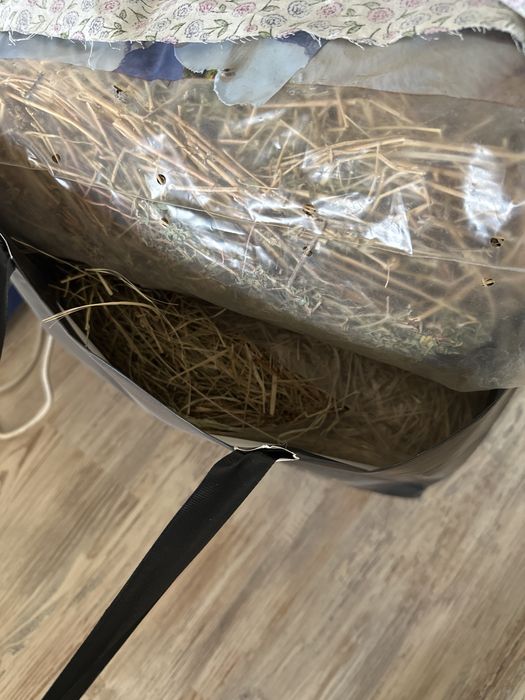 Продам клетку для шиншилл