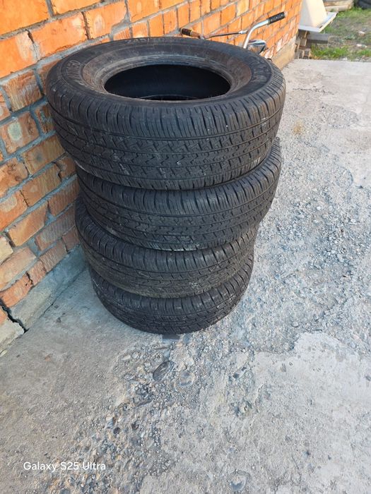 Шина летний, жазғы донгелек