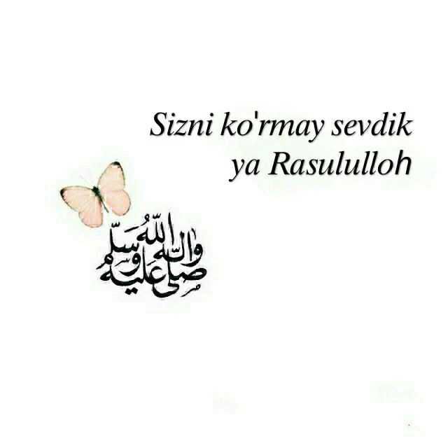 Kitob "Tushlarimga kiring, yo Rasululloh"