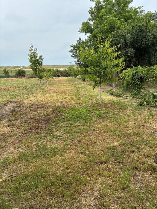 Vand Casa, curte si gradina