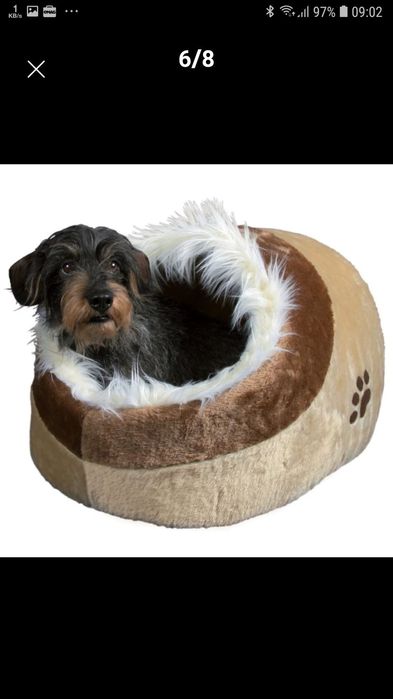 Pătuț animal companie