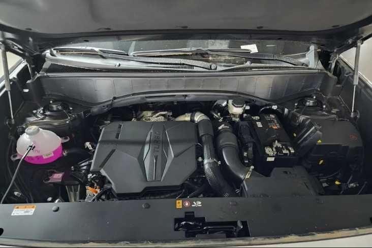 Hyundai Palisade Calligraphy!