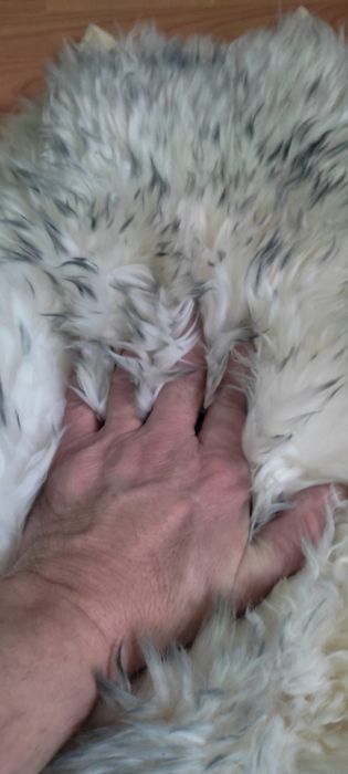 Оригинальные Чехлы автомобильные